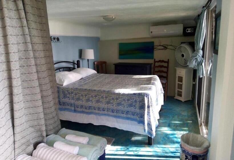 بنسيون Agaveblue