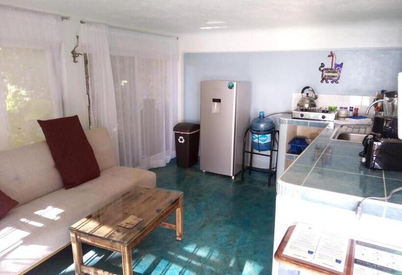 بنسيون Agaveblue