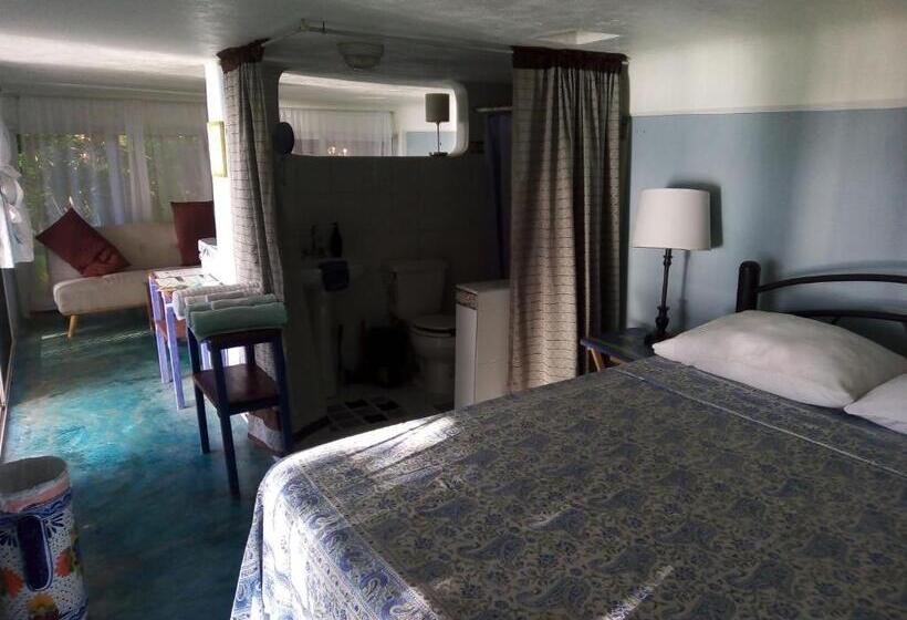 بنسيون Agaveblue