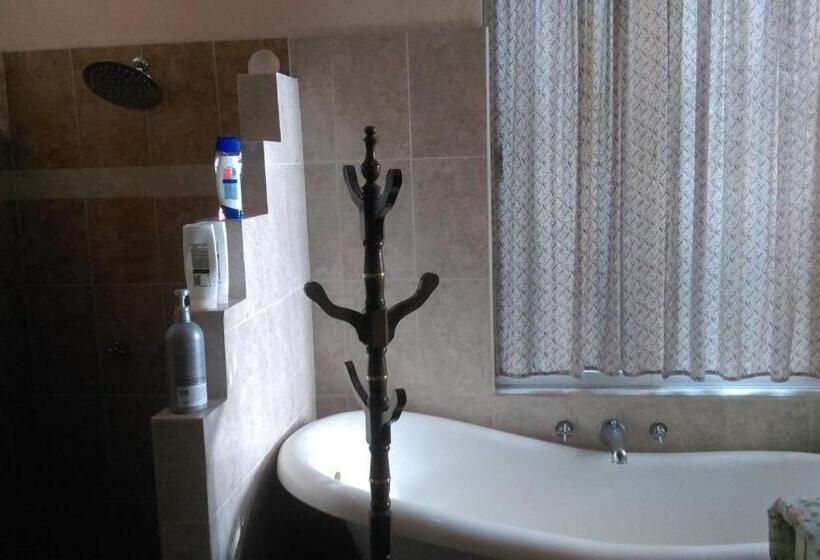 بنسيون Agaveblue