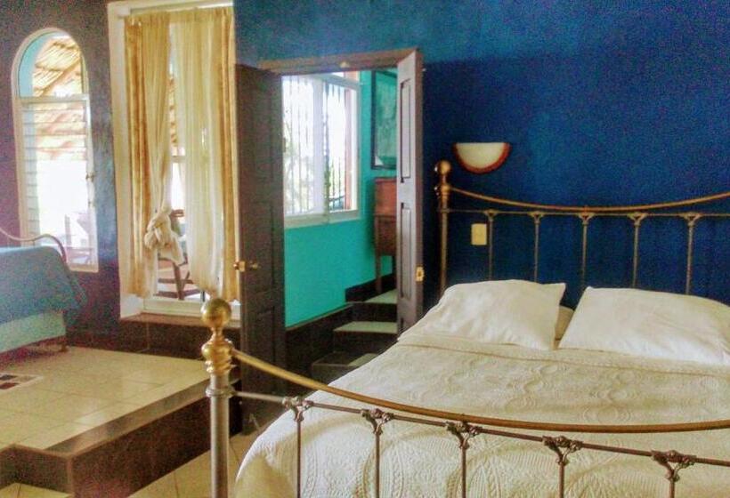 بنسيون Agaveblue