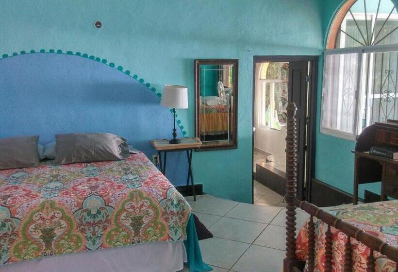 بنسيون Agaveblue