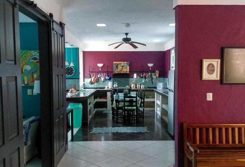 بنسيون Agaveblue