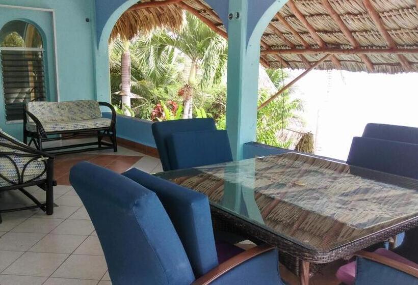 بنسيون Agaveblue