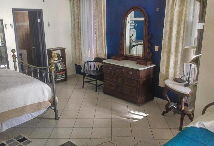 بنسيون Agaveblue