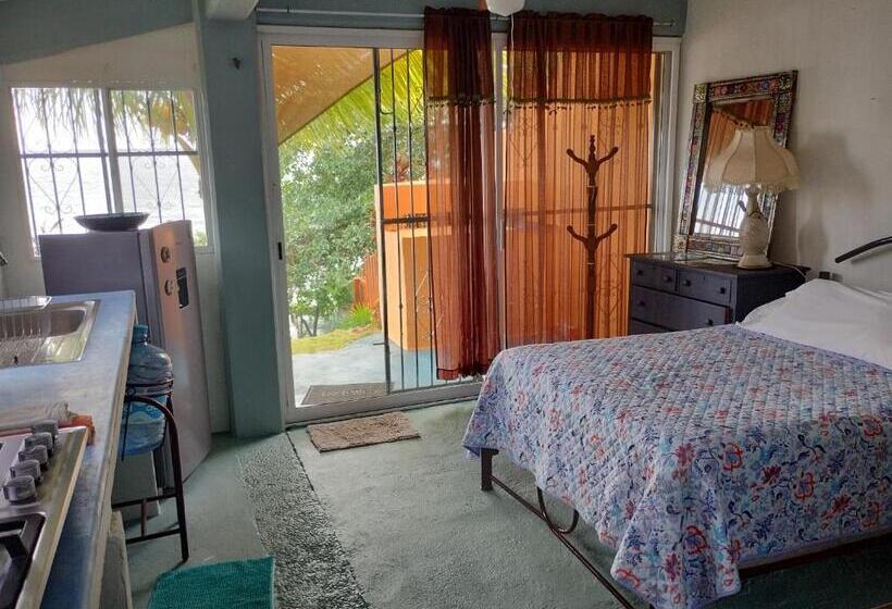 بنسيون Agaveblue