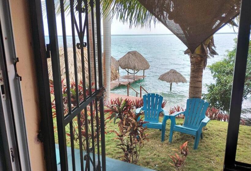 بنسيون Agaveblue