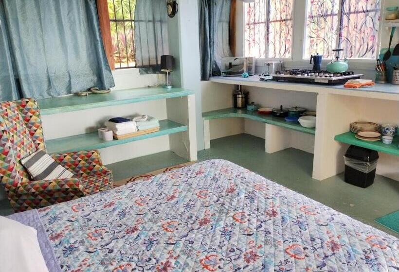 بنسيون Agaveblue