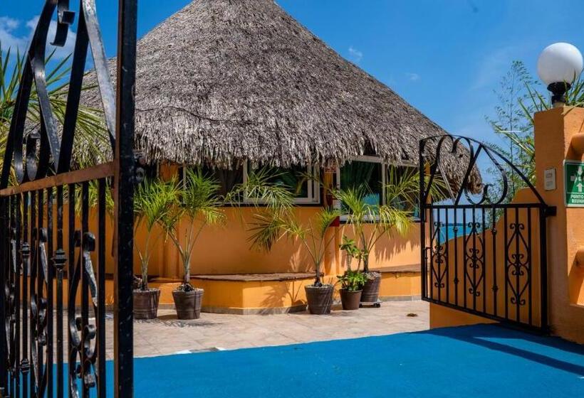 بنسيون Agaveblue