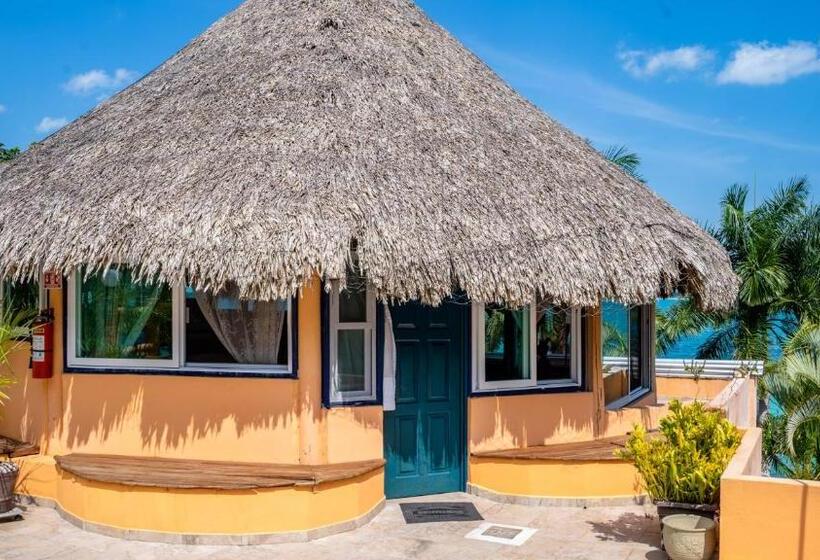 بنسيون Agaveblue