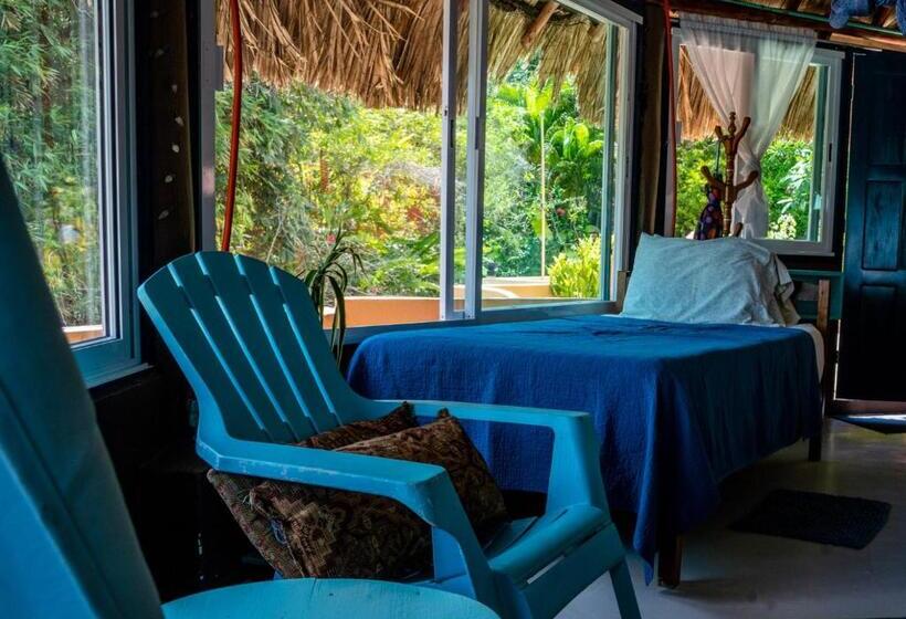 بنسيون Agaveblue