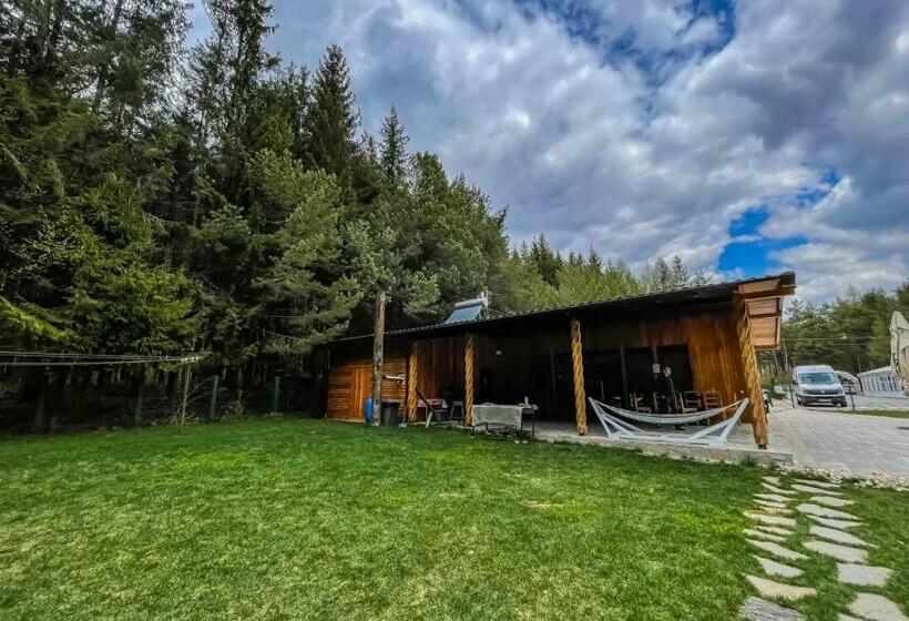 ペンション Boutique Hotel Doftana Nature Events