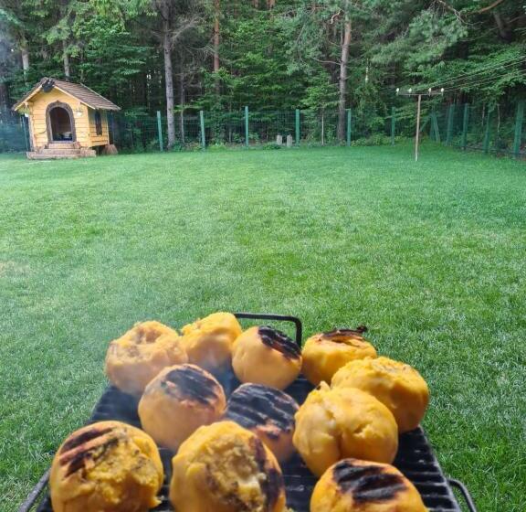 ペンション Boutique Hotel Doftana Nature Events