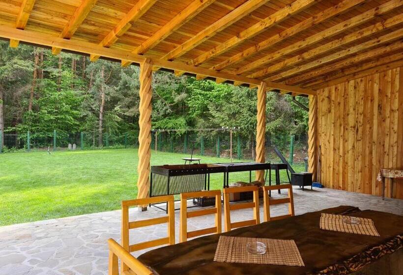 ペンション Boutique Hotel Doftana Nature Events