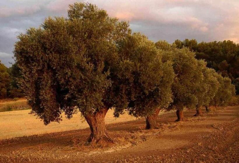 ペンション Casa Rural Restaurante Mas Del Rei