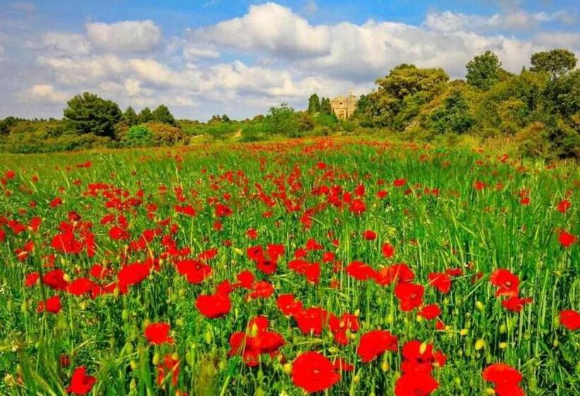 ペンション Casa Rural Restaurante Mas Del Rei