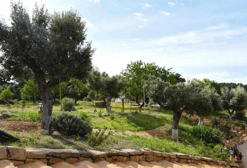 ペンション Casa Rural Restaurante Mas Del Rei