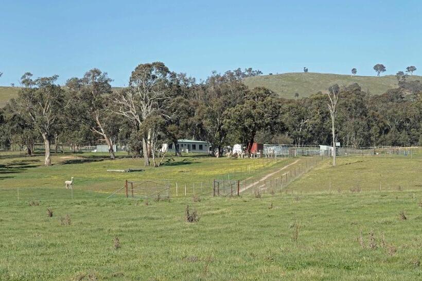 Пансион Glenview Alpaca Farm