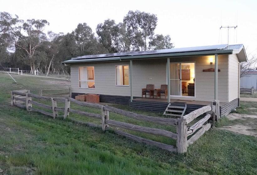 פנסיון Glenview Alpaca Farm