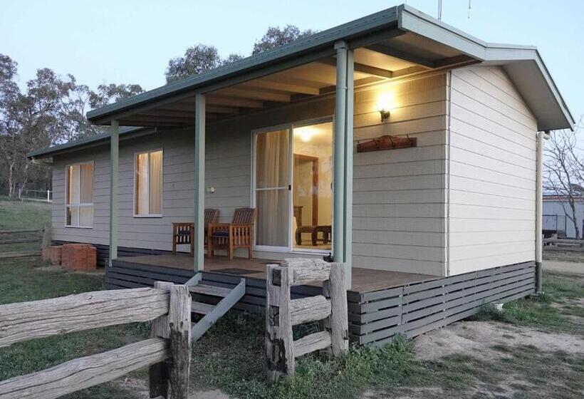 פנסיון Glenview Alpaca Farm