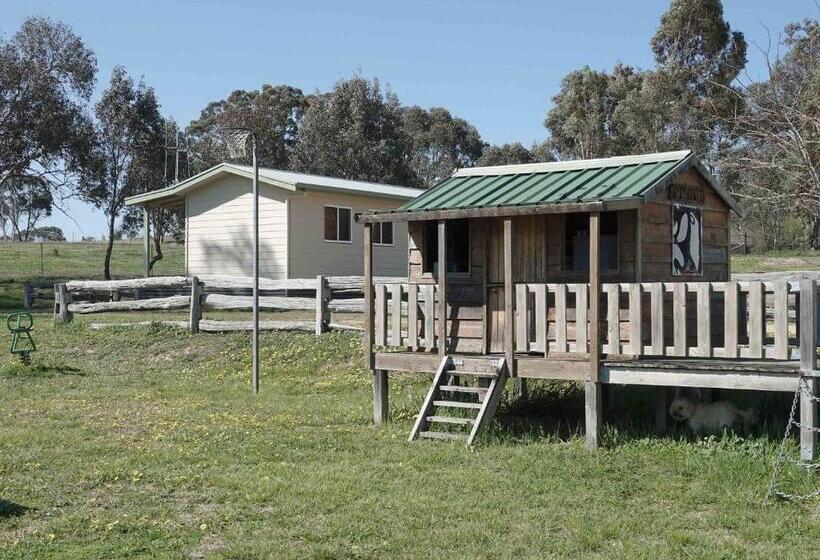 פנסיון Glenview Alpaca Farm