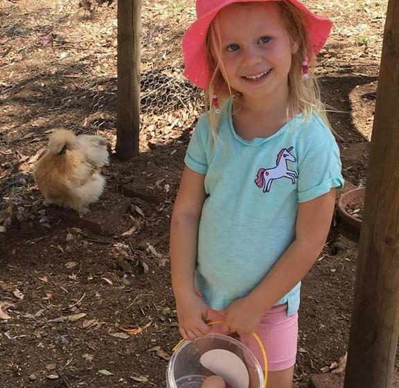 פנסיון Glenview Alpaca Farm