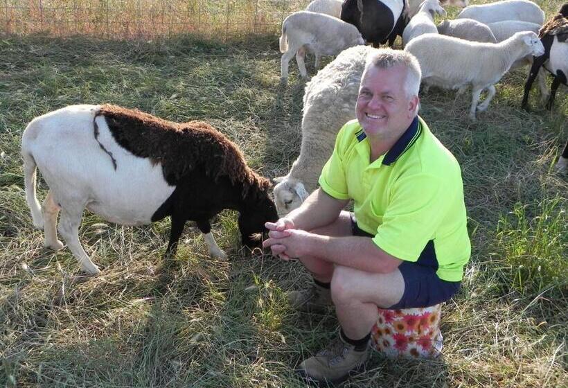 פנסיון Glenview Alpaca Farm