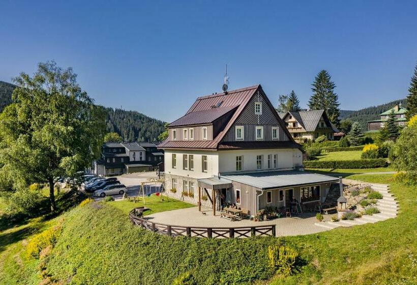 بنسيون Minerva