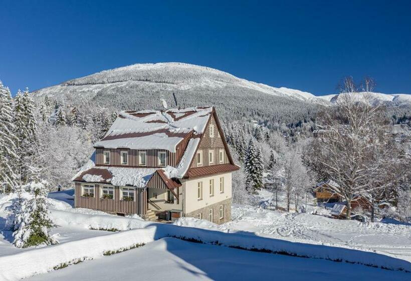 بنسيون Minerva