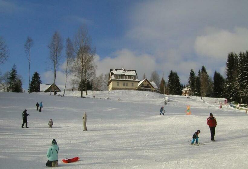 بنسيون Minerva