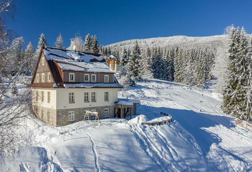 بنسيون Minerva