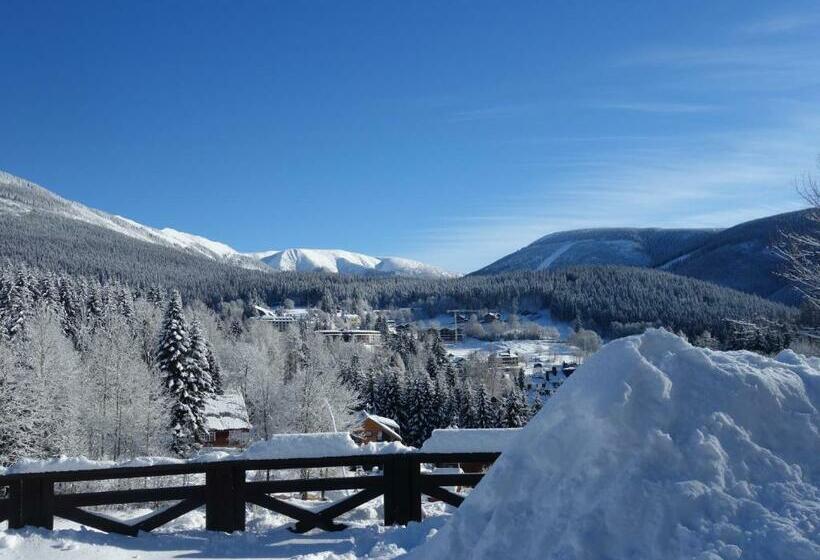 بنسيون Minerva