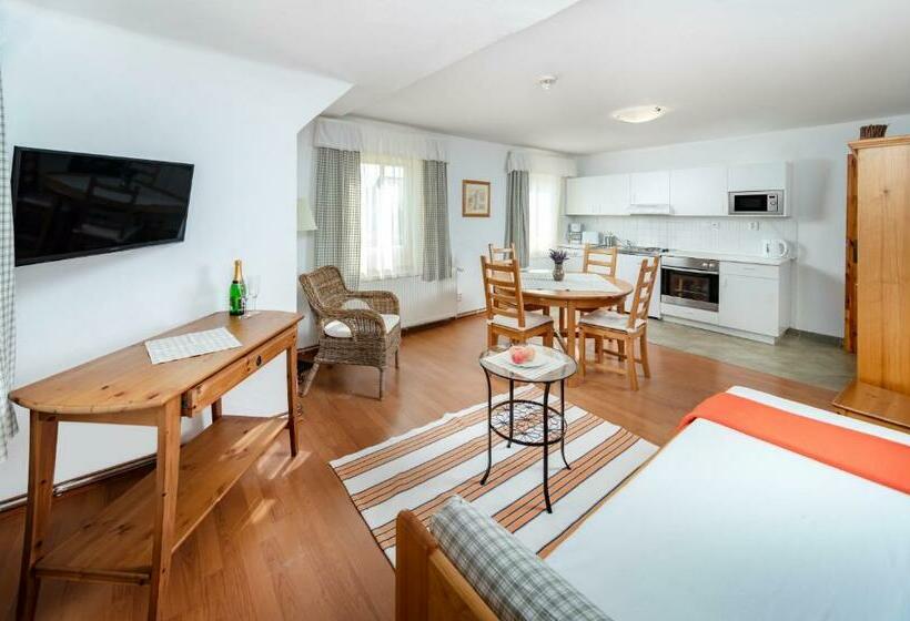 بنسيون Minerva