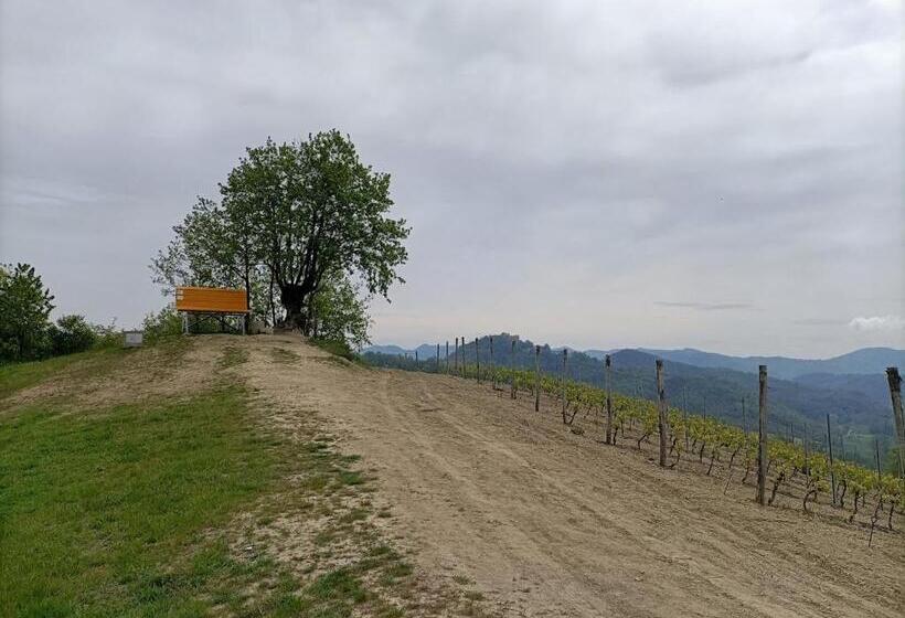 بنسيون Monferrato Bed&bike