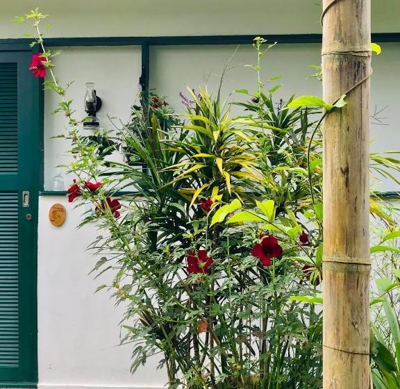 פנסיון Pinheiros Do Rocio