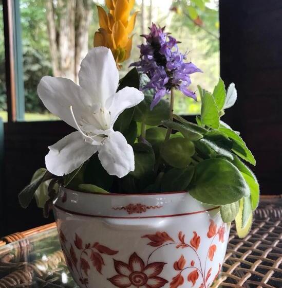 פנסיון Pinheiros Do Rocio