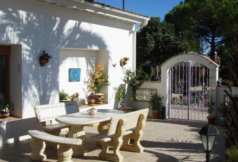 ペンション Tara Casa Rural