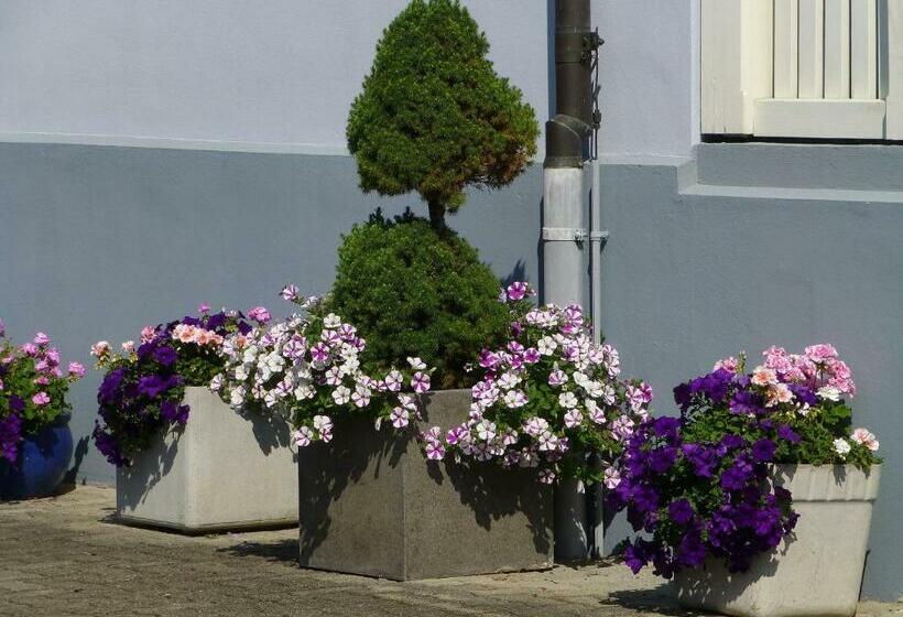 بنسيون Villa Deck