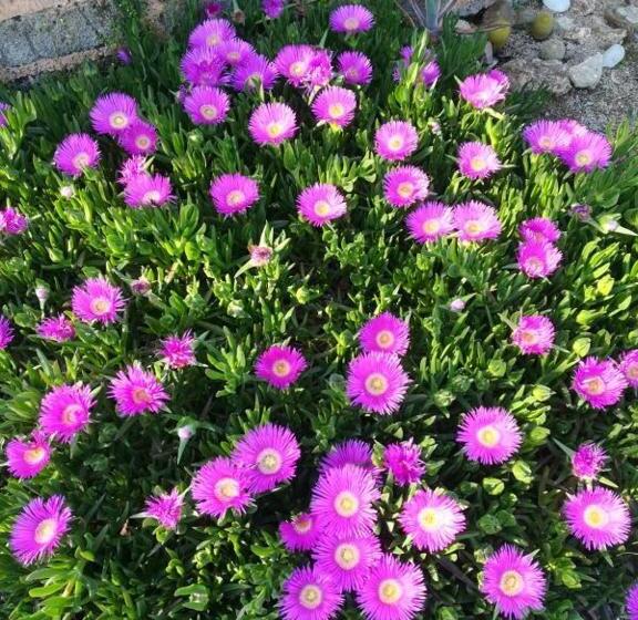 צימר A Casa Di Lele Capalbio