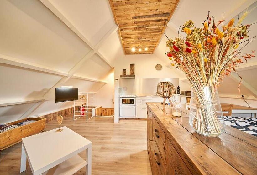 تختخواب و صبحانه B B Huize Hooijer