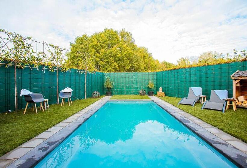 تختخواب و صبحانه B B Huize Hooijer