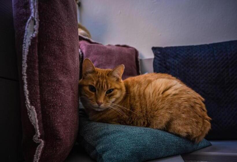 تختخواب و صبحانه De Kaepstander