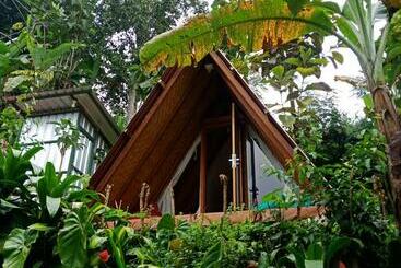 تختخواب و صبحانه Eco Bedugul Adventurer Camp