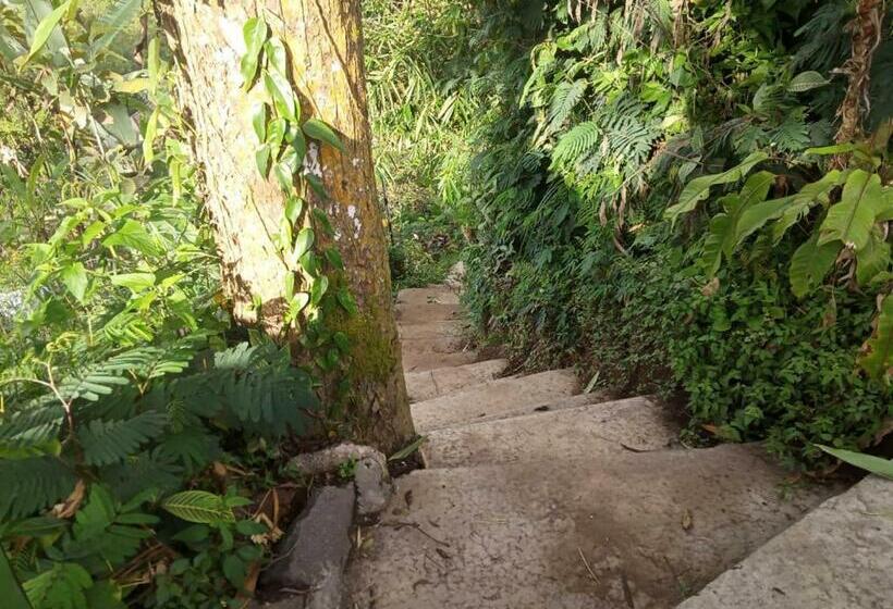 צימר Eco Bedugul Adventurer Camp