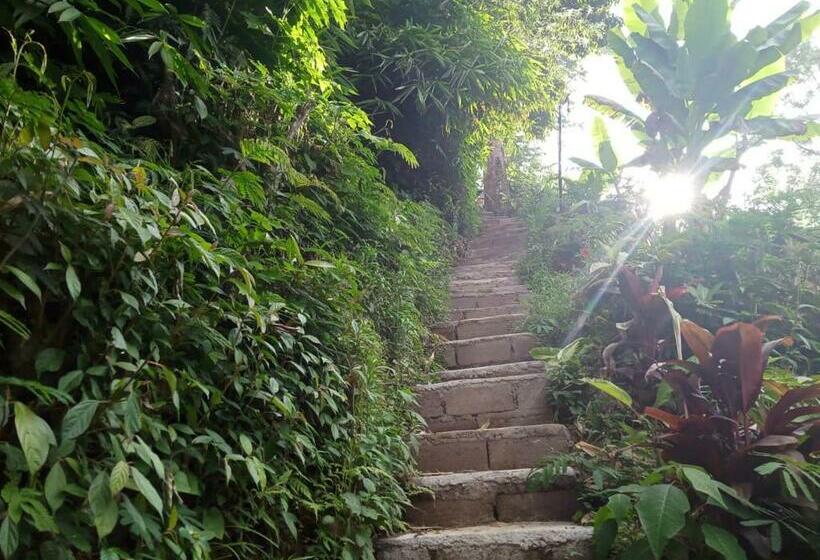 צימר Eco Bedugul Adventurer Camp