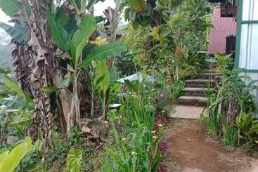 تختخواب و صبحانه Eco Bedugul Adventurer Camp