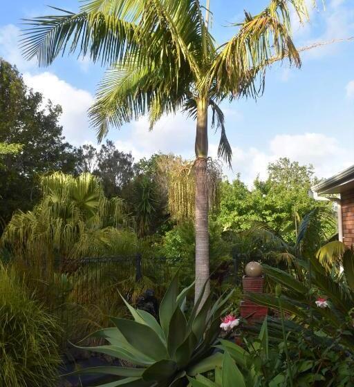 צימר Harbour View Retreat Mangonui