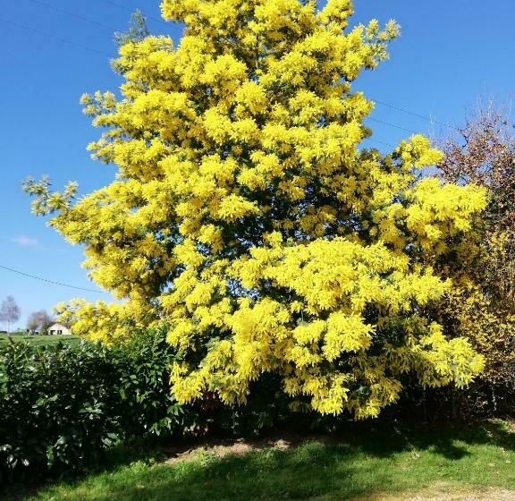 住宿加早餐 La Haye Georget