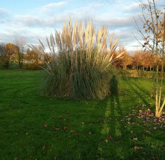 住宿加早餐 La Haye Georget