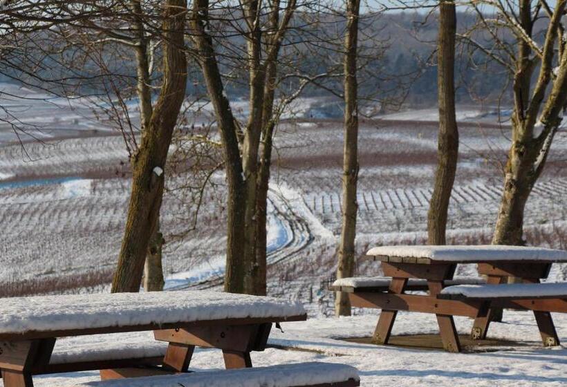 Bed and Breakfast La Tuiliere